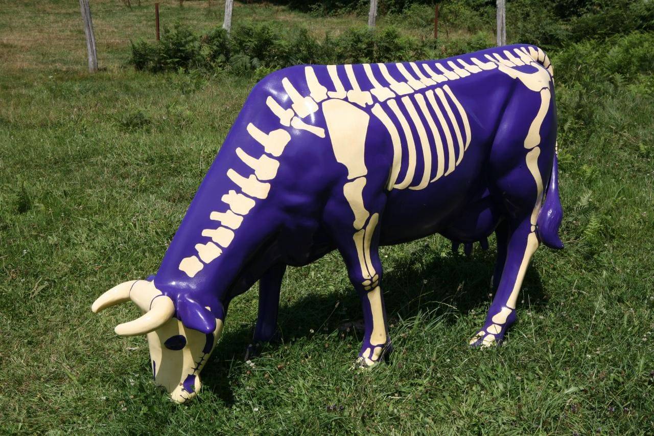 Cowchemar Web Cowchemar Web