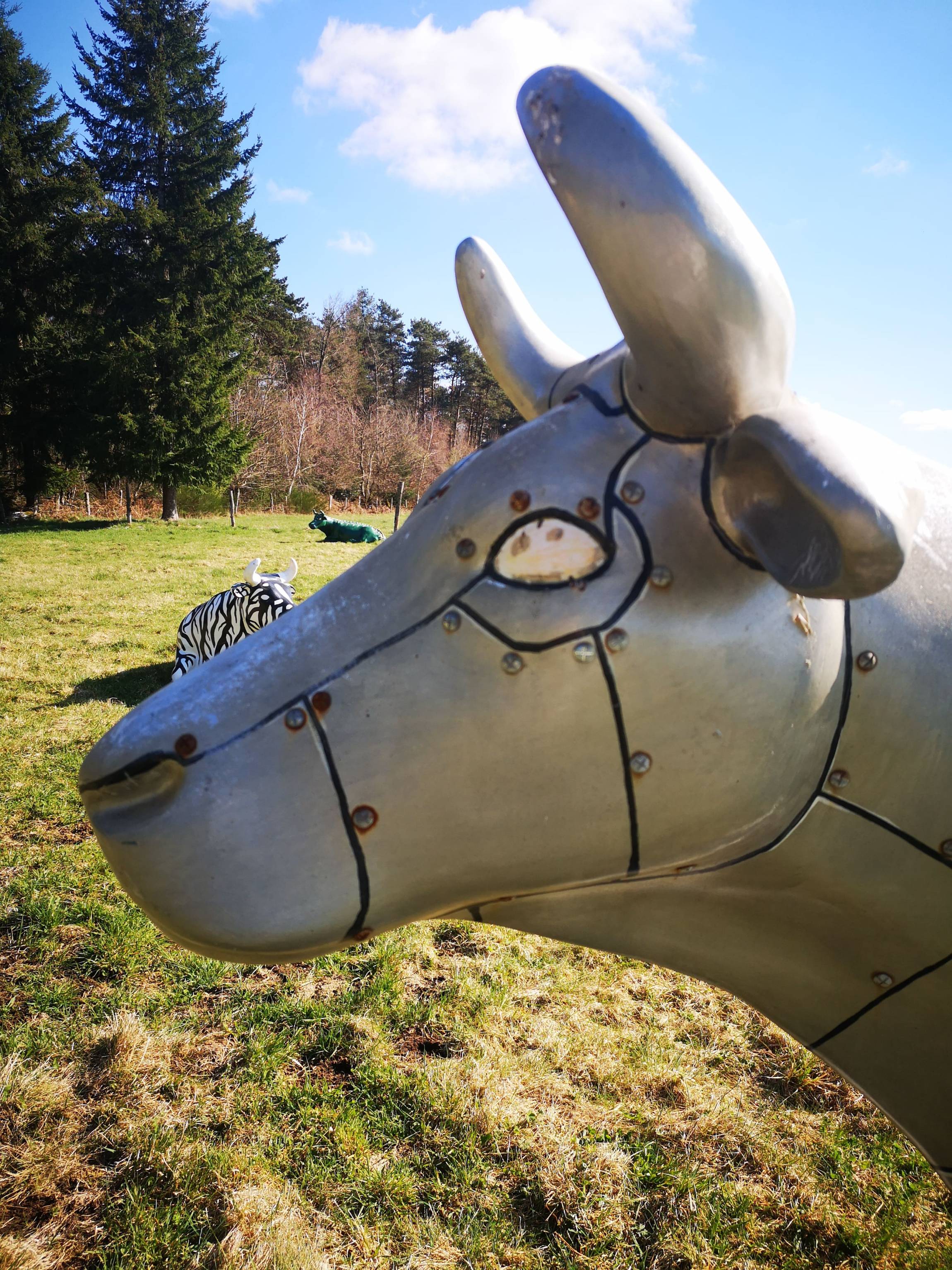 IMG_20220404_165623 IMG_20220404_165623