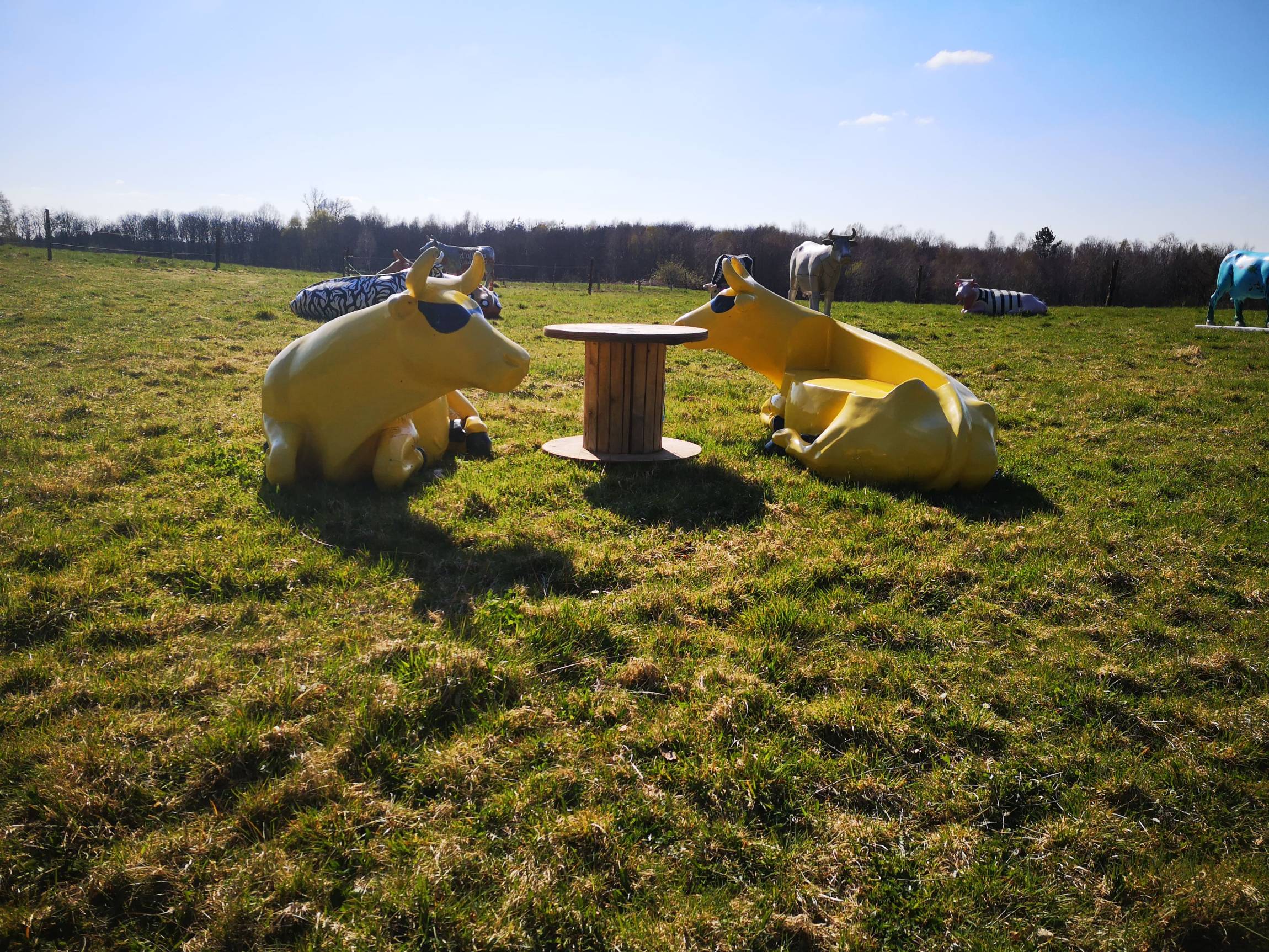 IMG_20220404_165856 IMG_20220404_165856